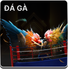 23win - Nhà Cái Cá Cược Trực Tuyến Hàng Đầu Tại Việt Nam 8 58B43839099Ca1B379C4C1524987D476